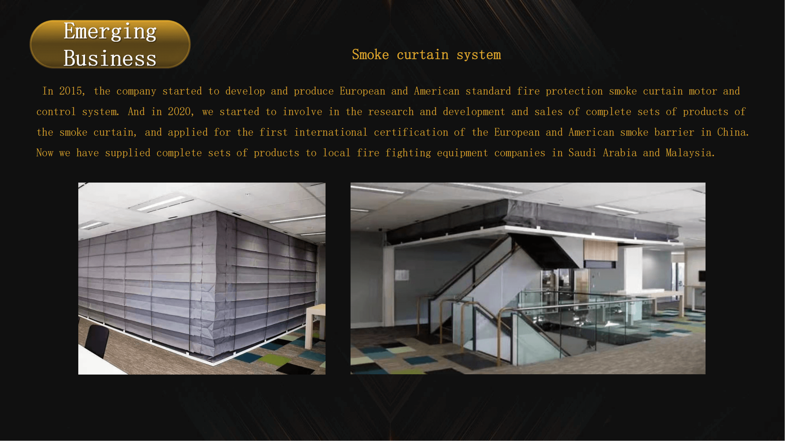 Smoke curtain and fire curtain