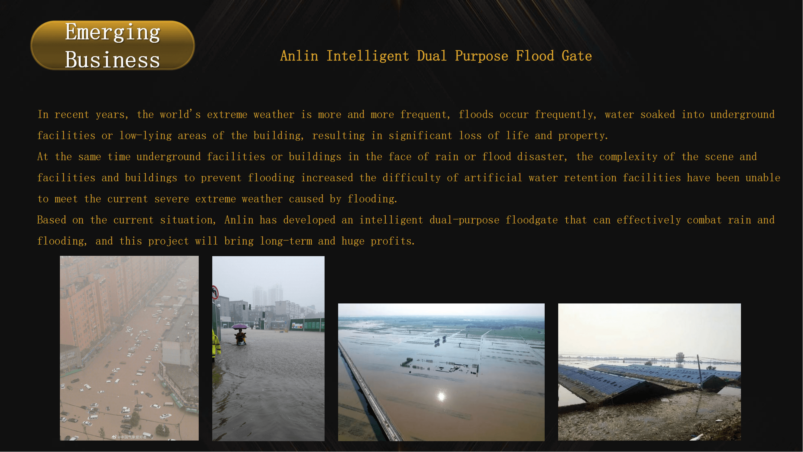dual purpose flood gate